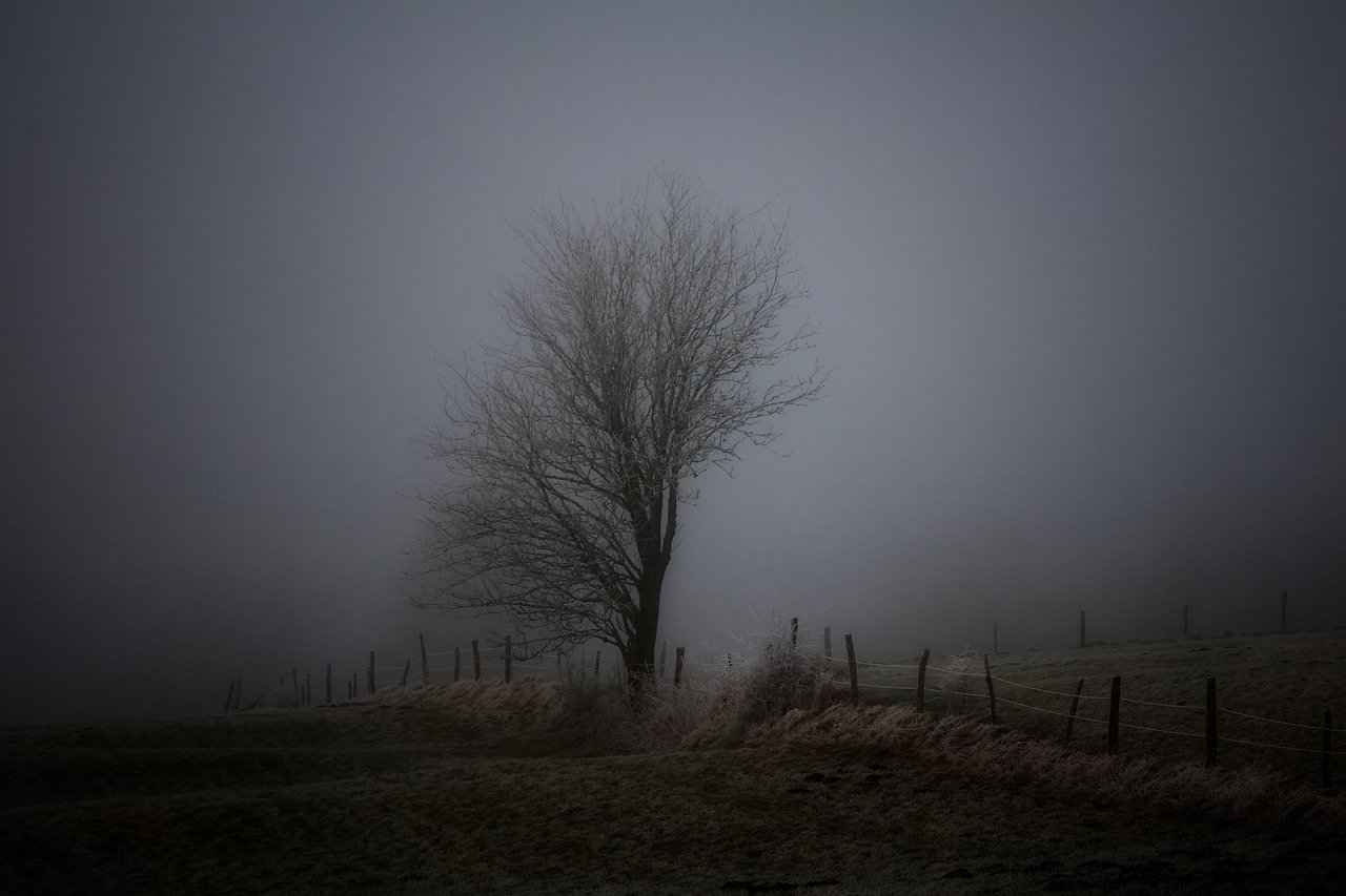 Bornoz Temizliği İçin Doğru Yıkama Teknikleri 6 Bornoz Bakımı İçin İpuçları