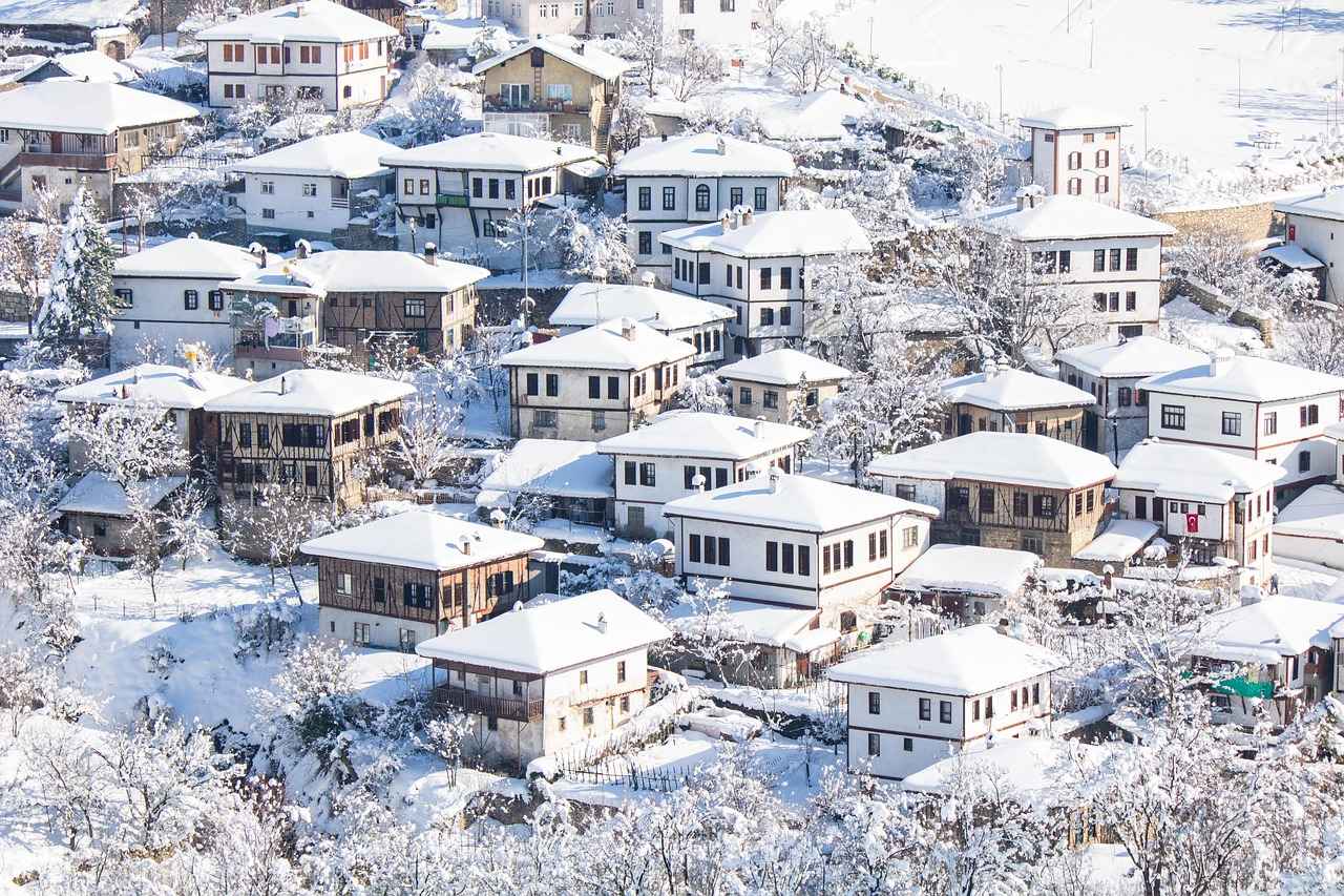 Sonuç: Bornozun Geleceği