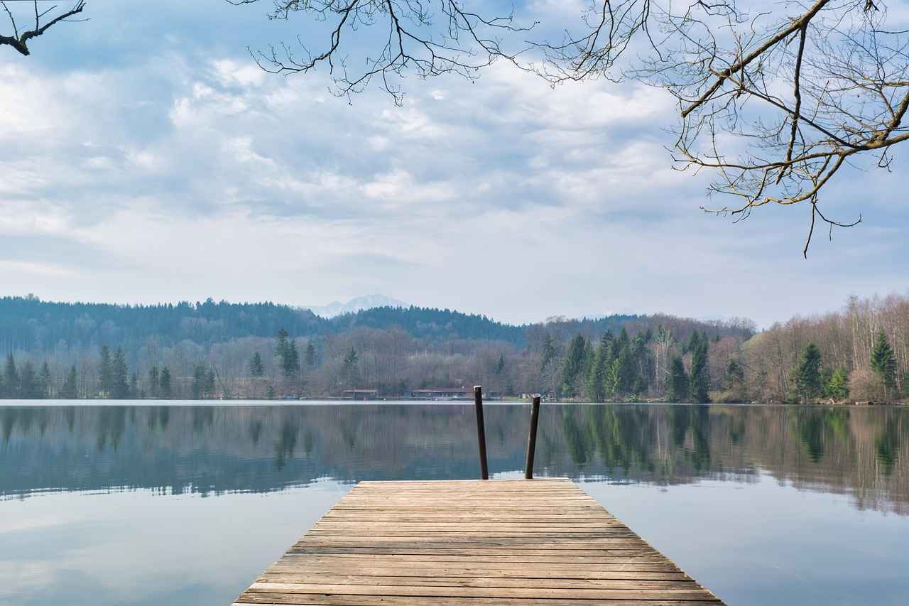 Özdilek Bornoz Takımının Özellikleri