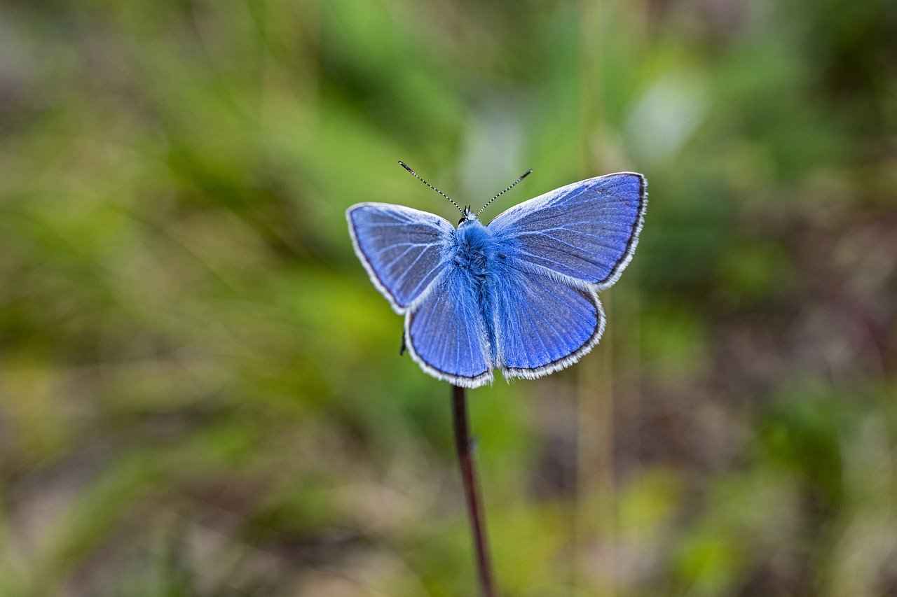 Yıkama ve Bakım Talimatları