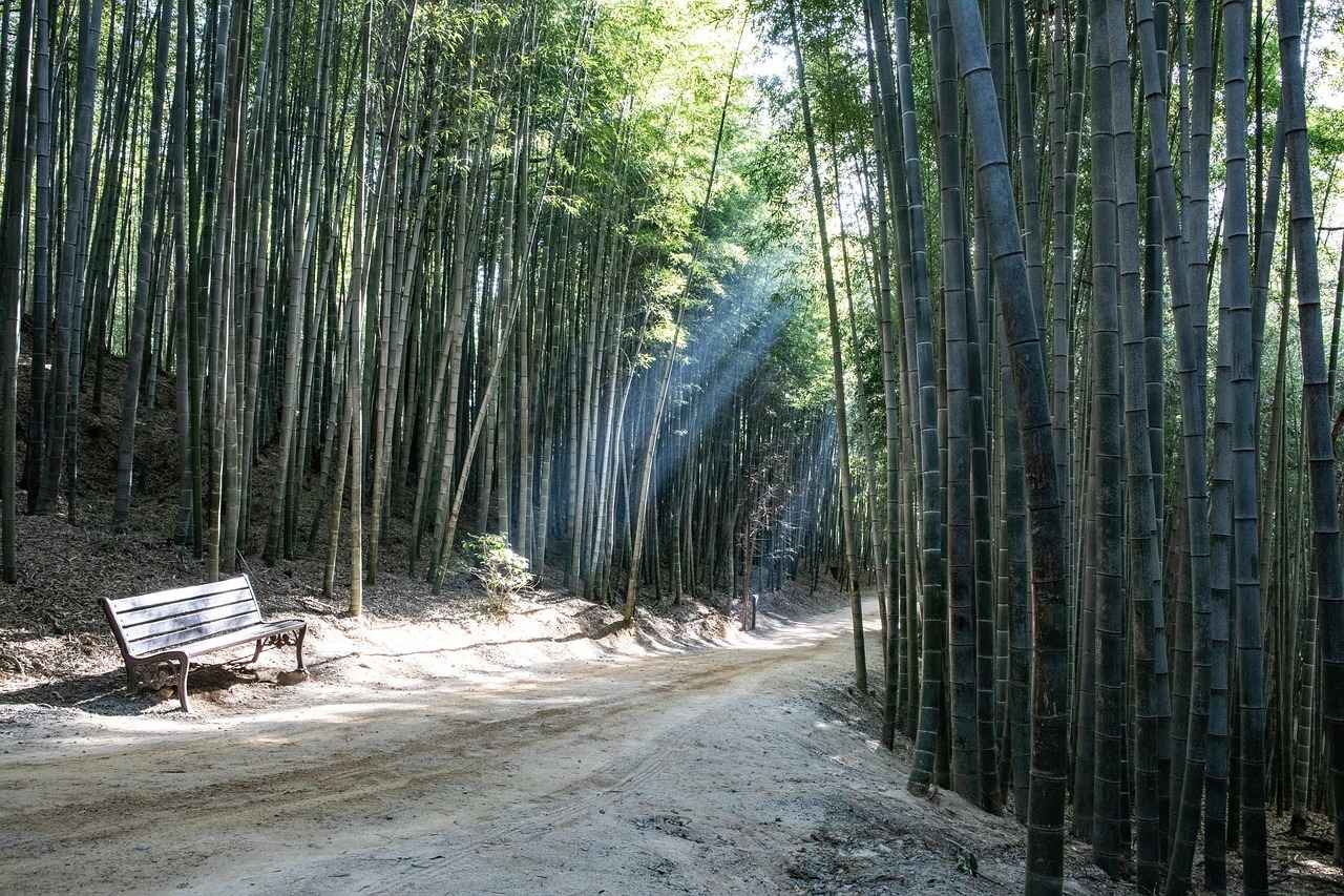 Bambu Bornoz Tercih Etmenin Çevresel Faydaları
