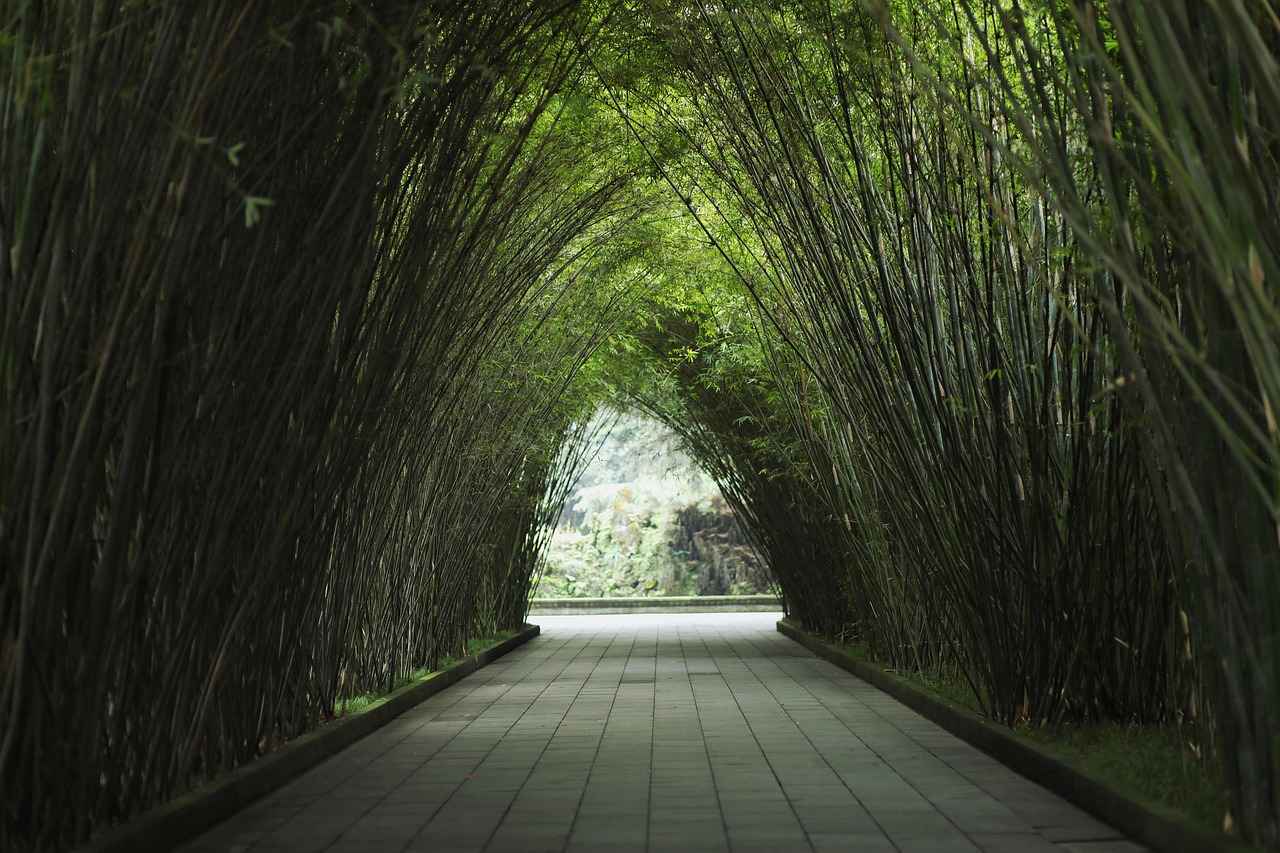 Bambu Bornozlarının Avantajları