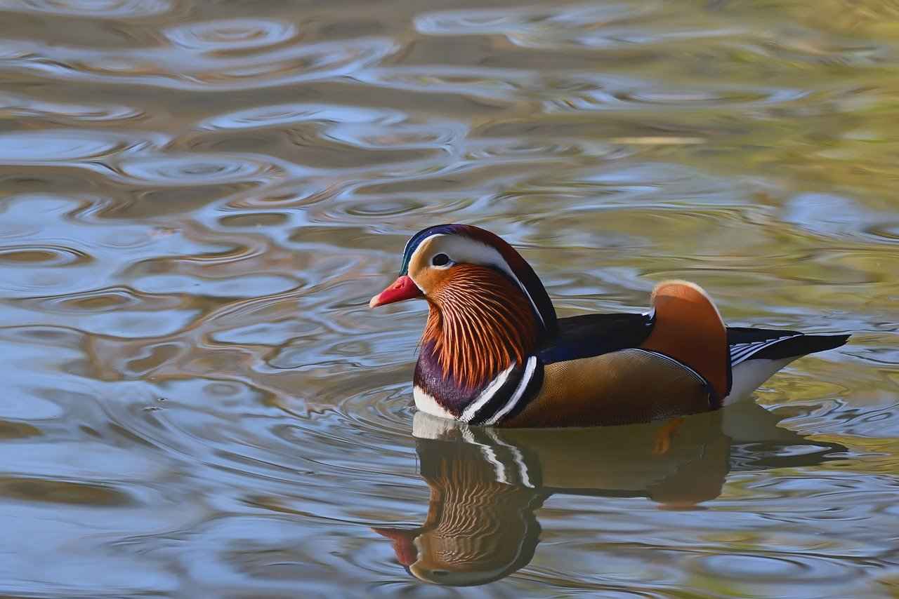 Bebek Bornozu Seçerken Dikkat Edilmesi Gerekenler