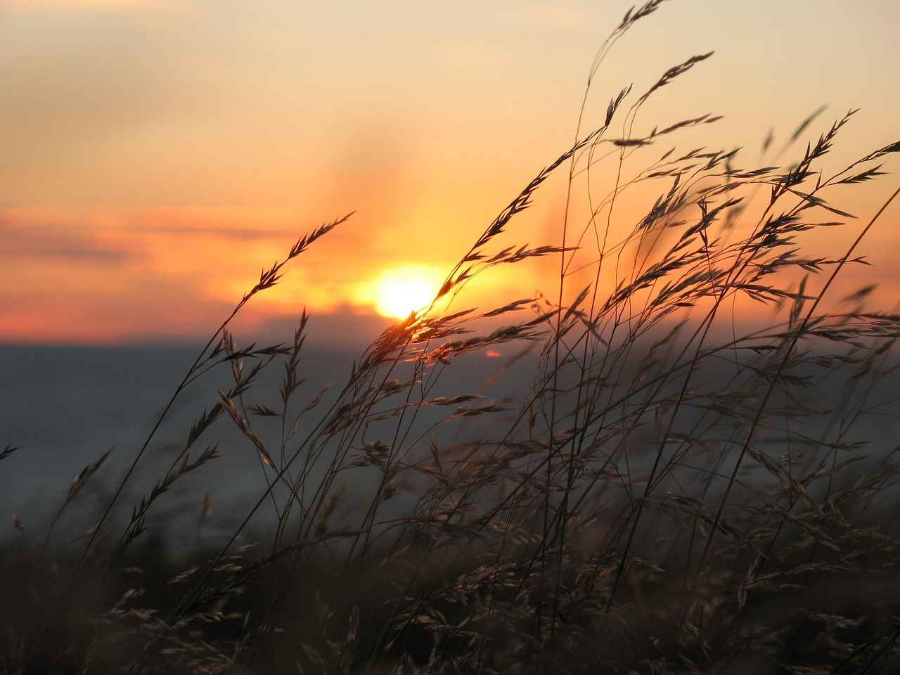 Bornoz Askısı Fiyat Aralığı