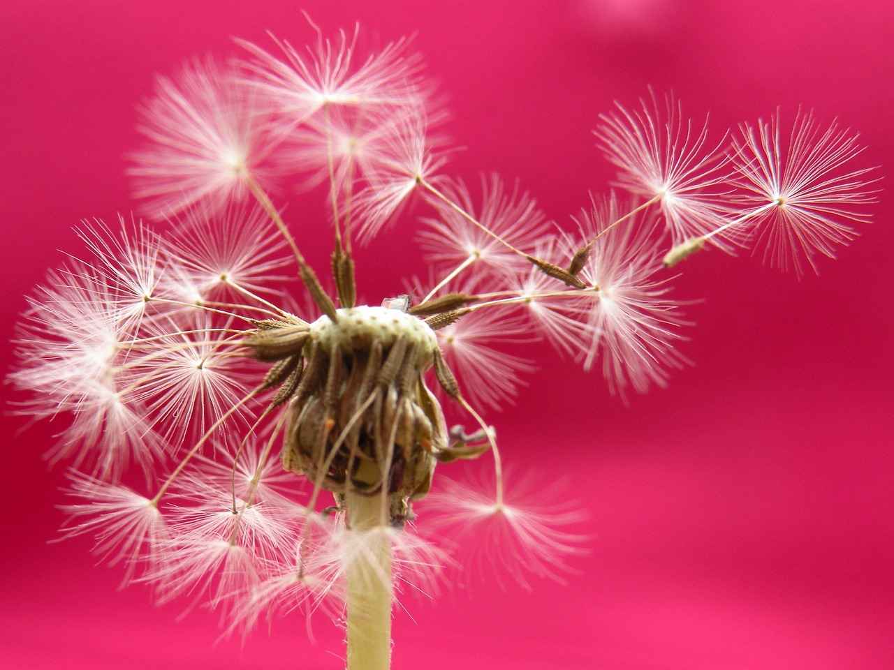 2024 Yılında Popüler Bornoz Markaları