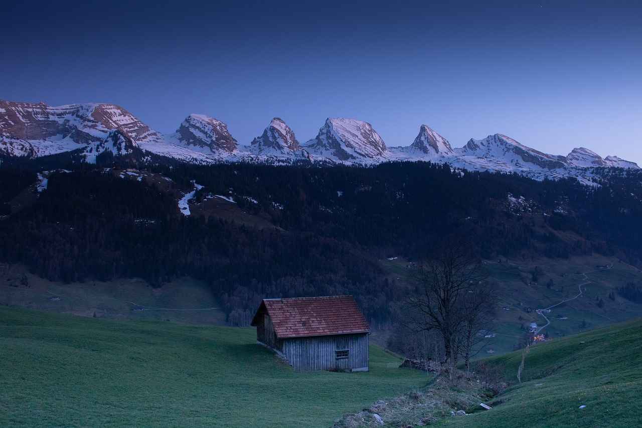 Fonksiyonel Bornoz Modelleri