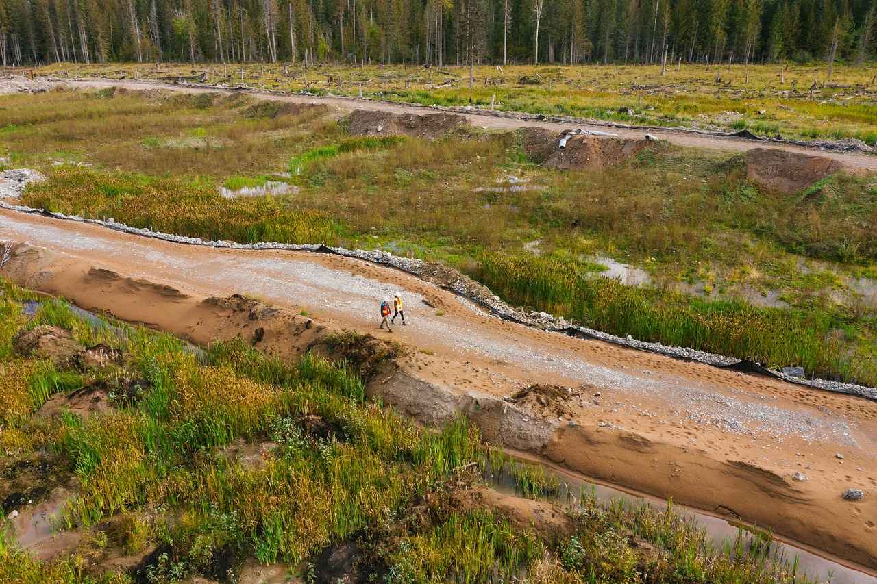Bornoz Seçerken Dikkat Edilmesi Gerekenler