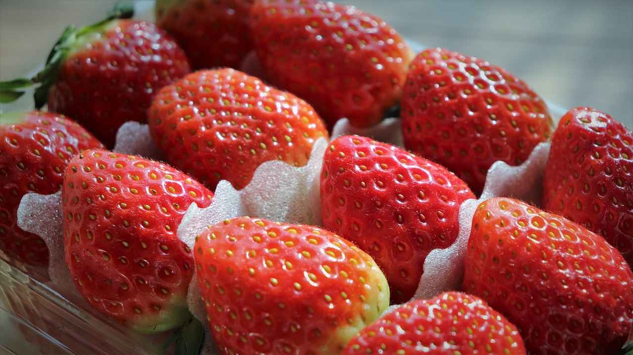 Fiyat Aralıkları Nasıldır?