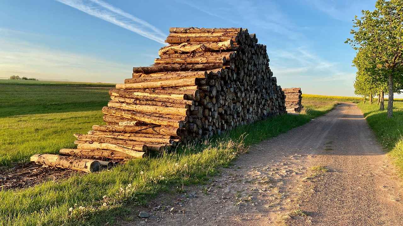 Sonuç: Bornoz Temizliğinde Doğru Yöntemler
