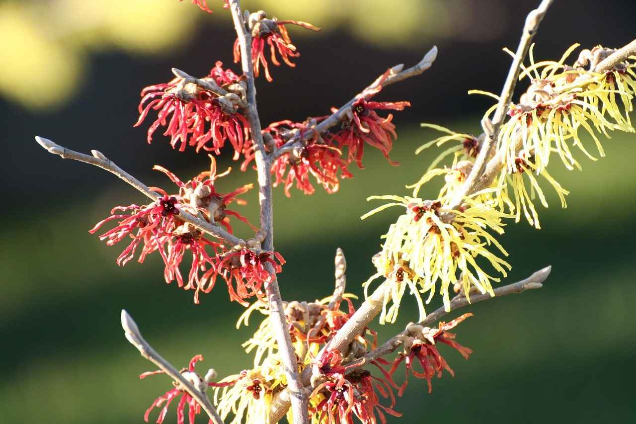 Bornoz ve Peştemal Seçerken Dikkat Edilmesi Gerekenler