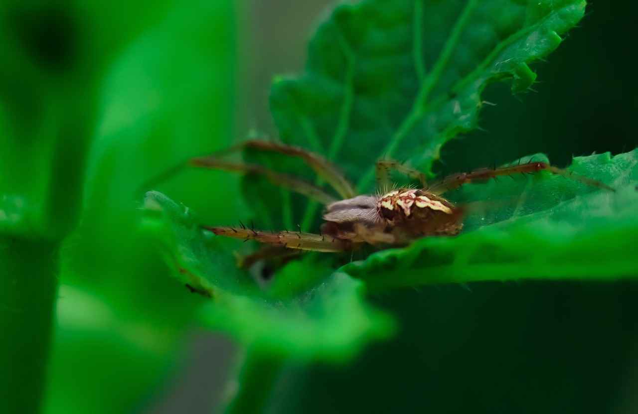 Doğal Liflerden Üretilen En Sağlıklı Bornozlar