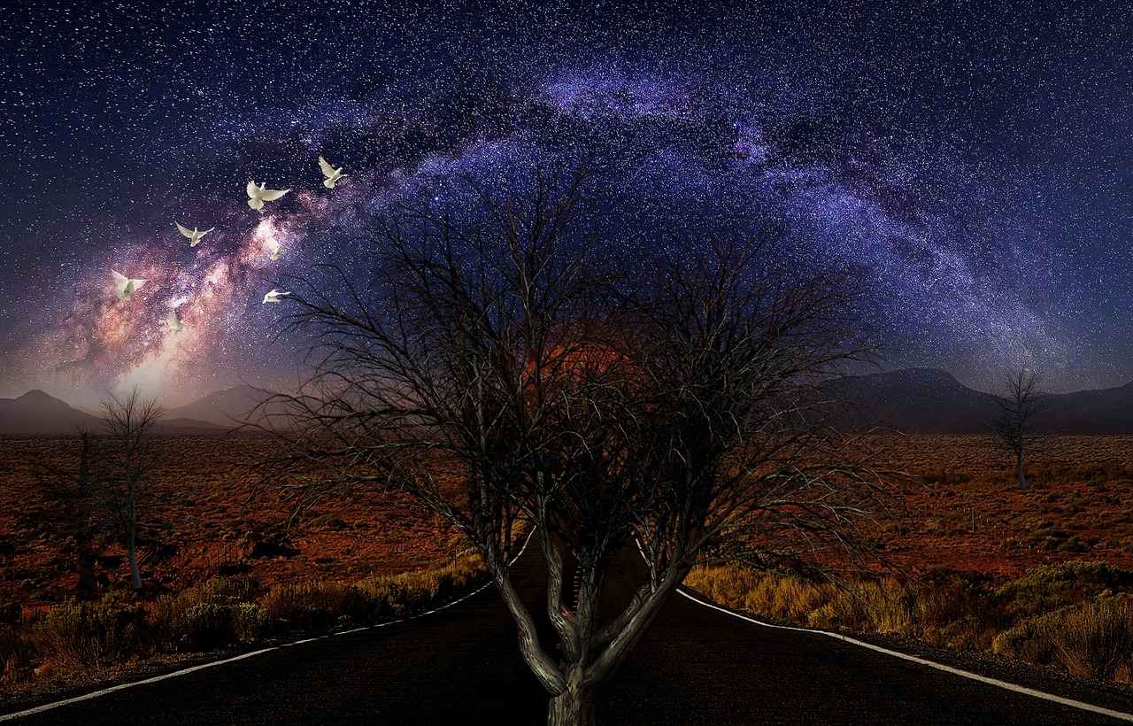 En Popüler Bornoz Seti Markaları