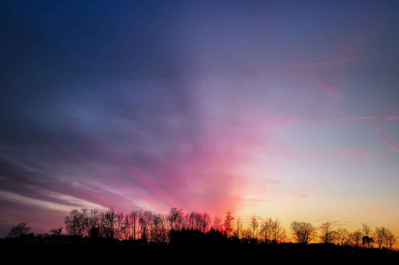 Ev Bornozunun Faydaları