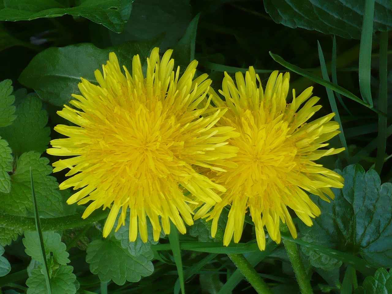 Otel ve Spa Bornozları