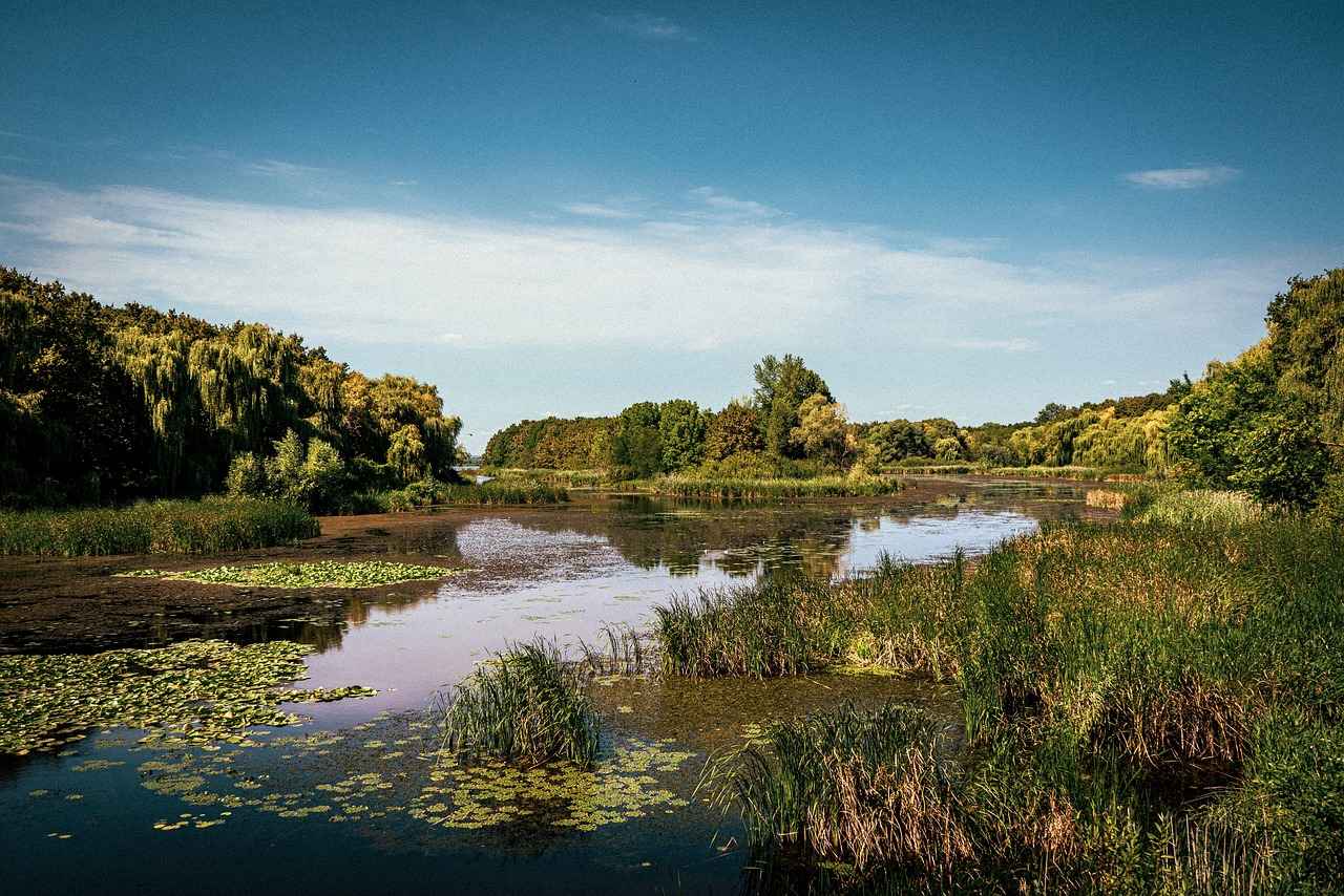 Kapşonlu Bornozun Bakımı