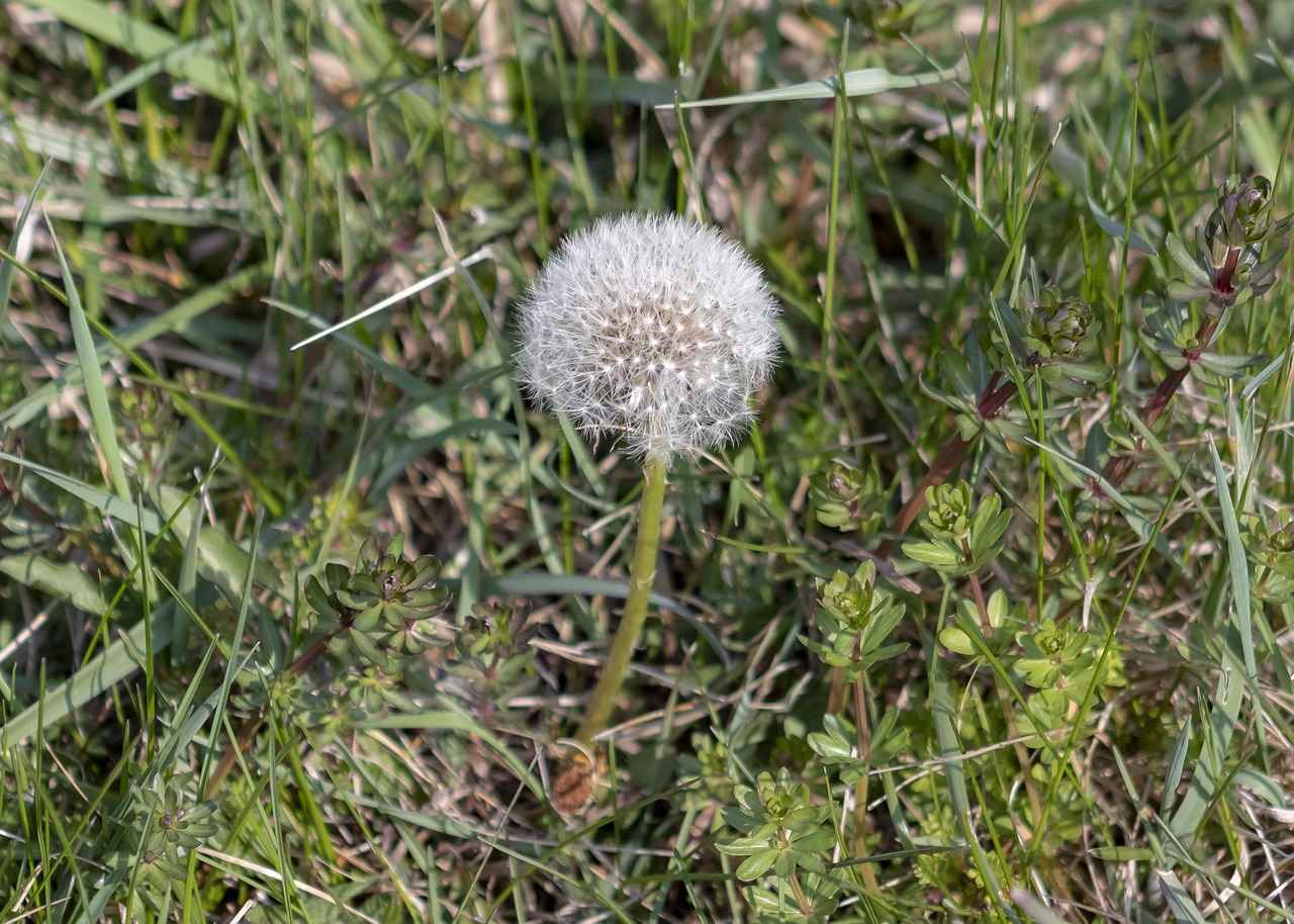 LCW Bornozlarının Fiyat Aralığı