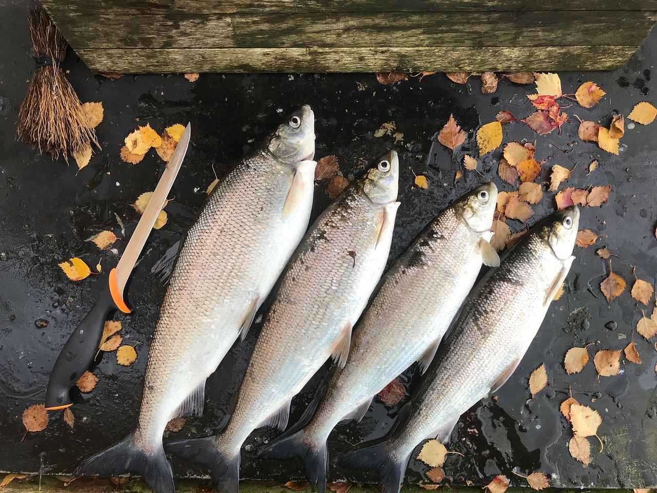 Özdilek Bornozlarının Avantajları