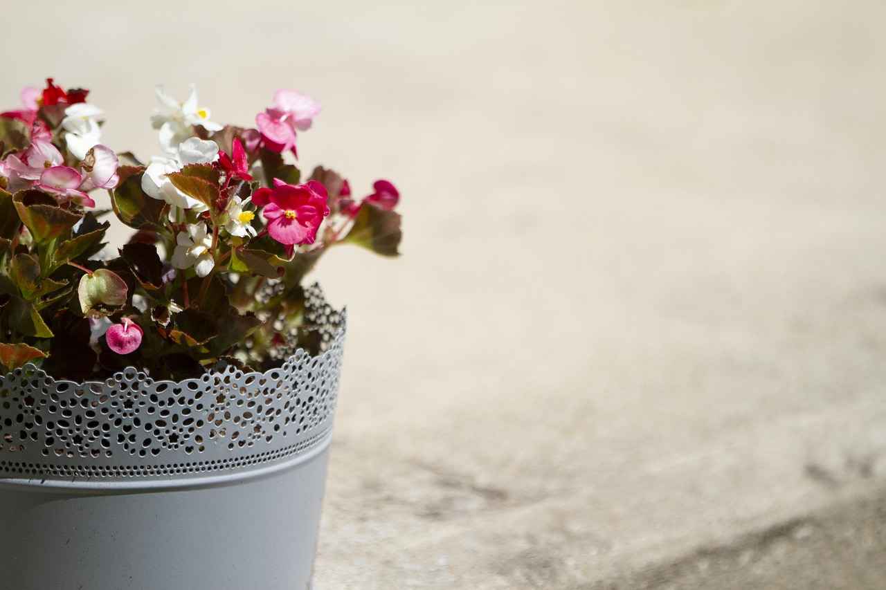 Popüler Bornoz Renk Seçenekleri