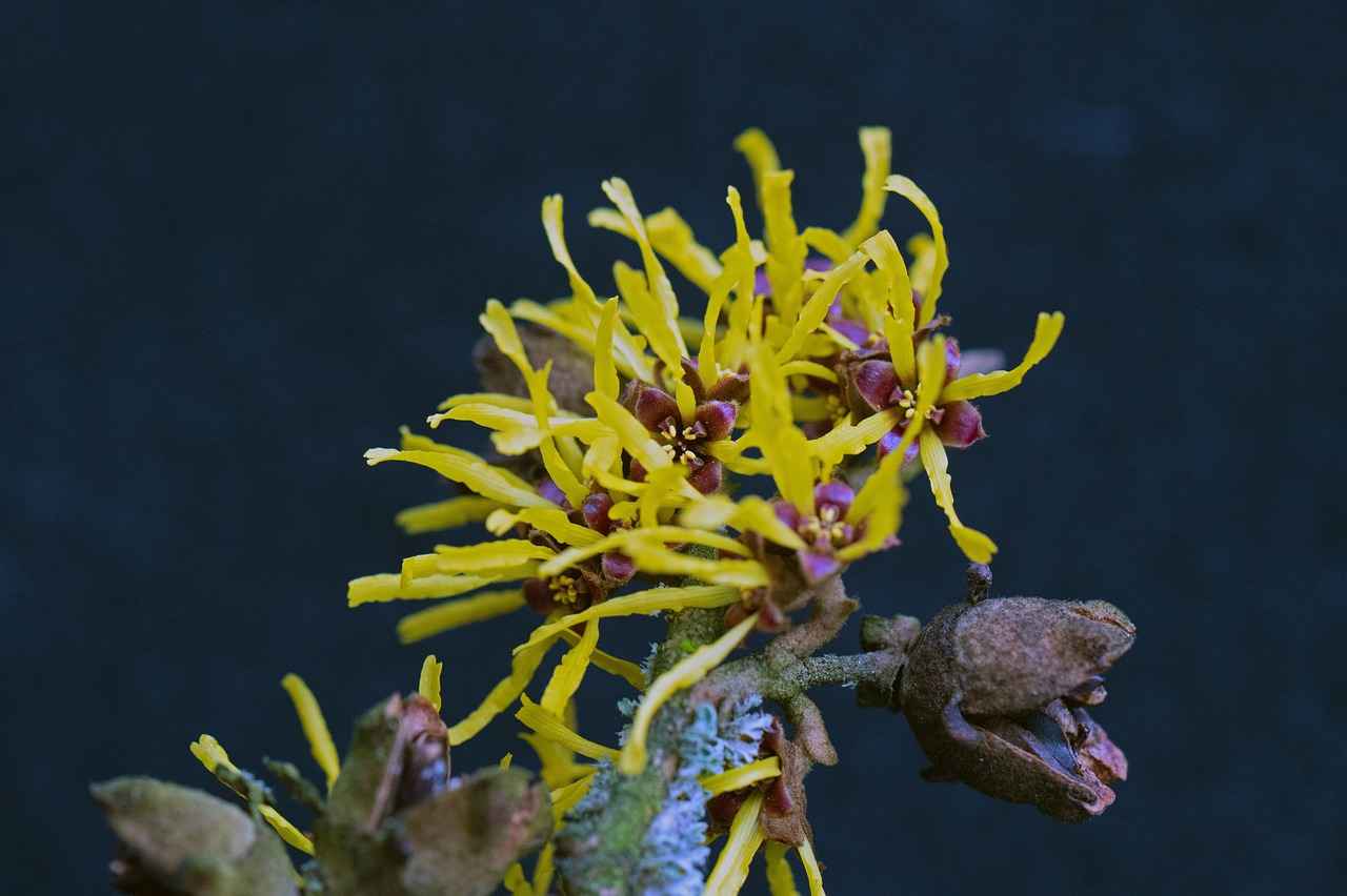 Peştemal Bornoz mu, Klasik Bornoz mu? Hangisi Daha İyi?