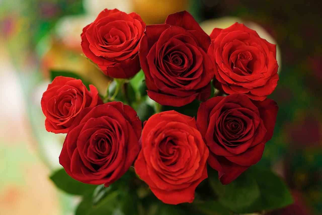 Sonuç ve Genel Değerlendirme