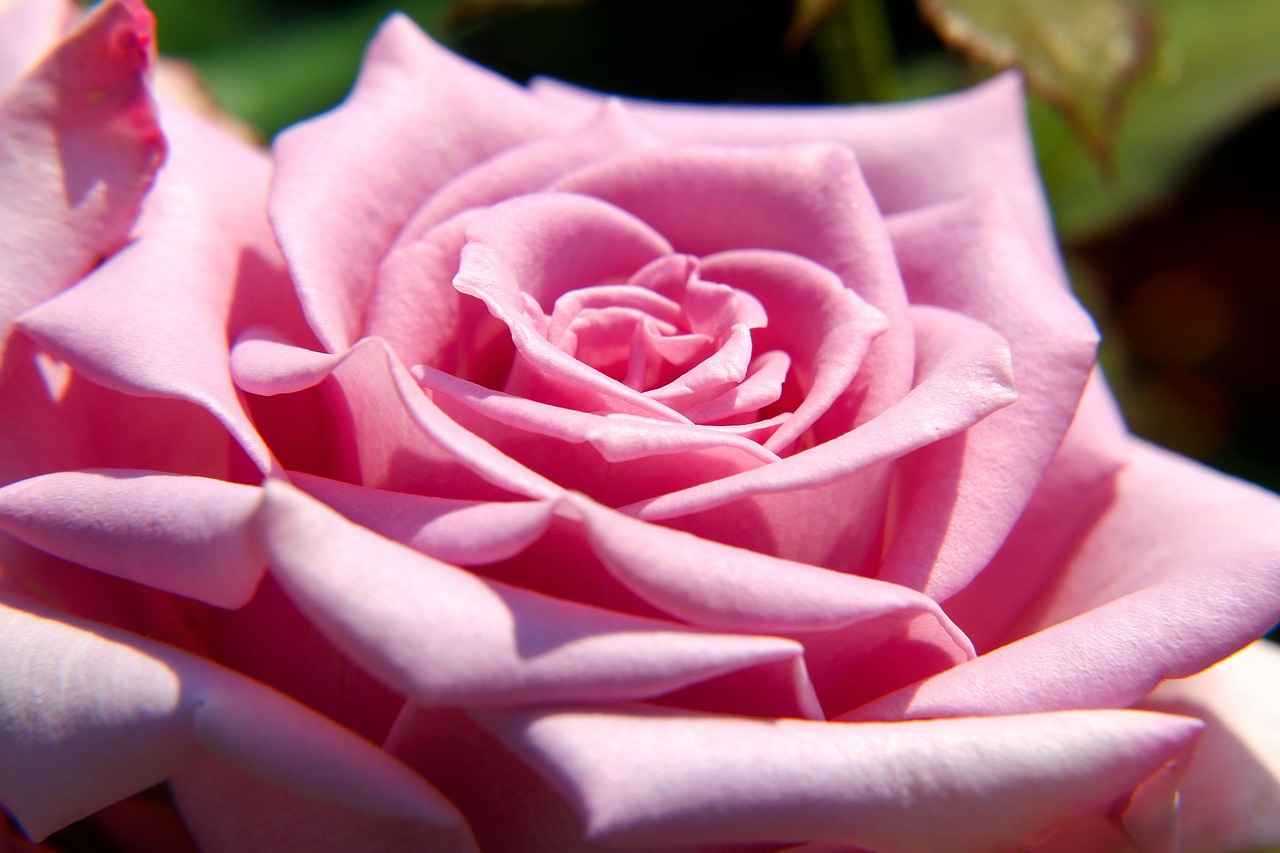 Kırmızı Renk ve Psikolojik Etkileri