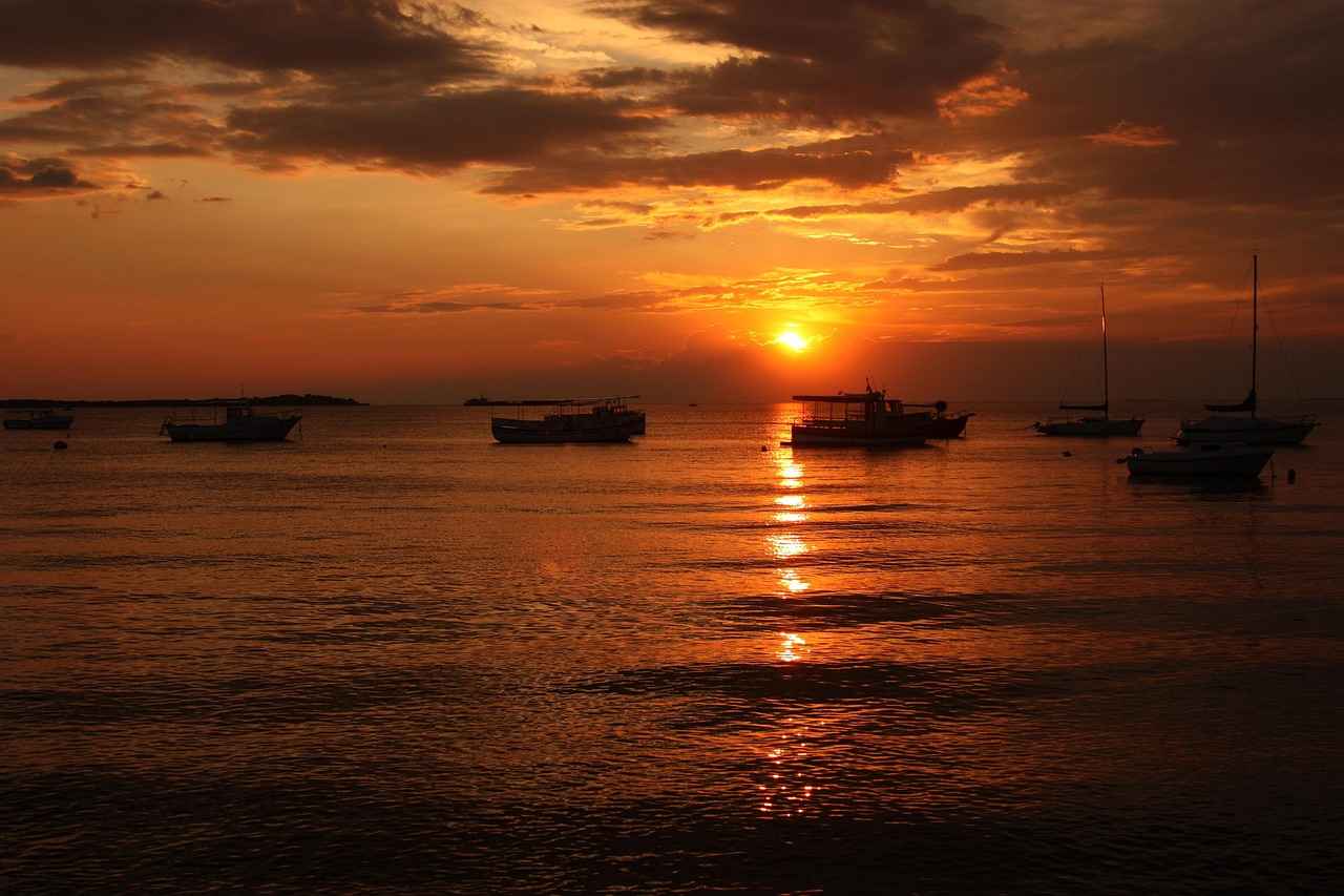 Kullanıcı Yorumları ve Deneyimleri