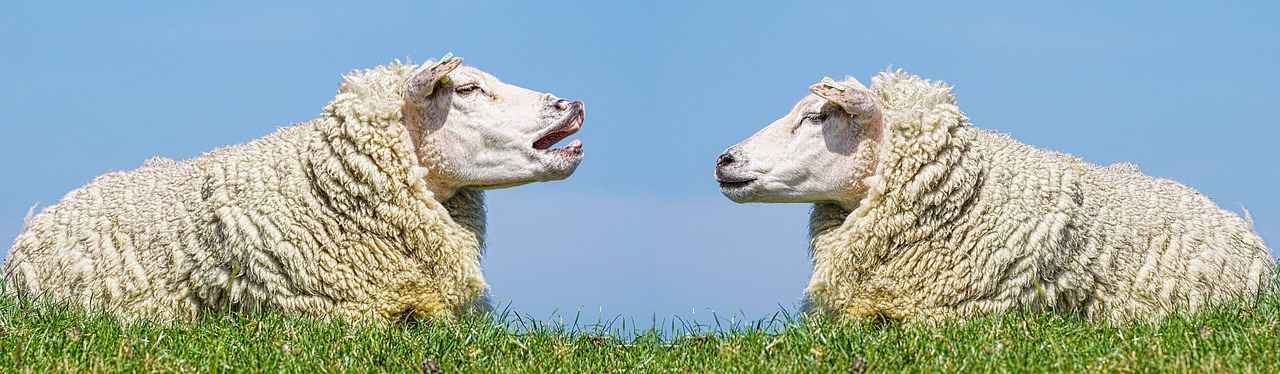 Sporcular İçin En İyi Bornoz Seçenekleri