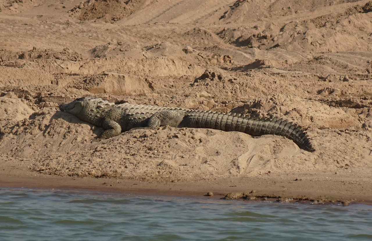 Bornoz Takımlarının Faydaları